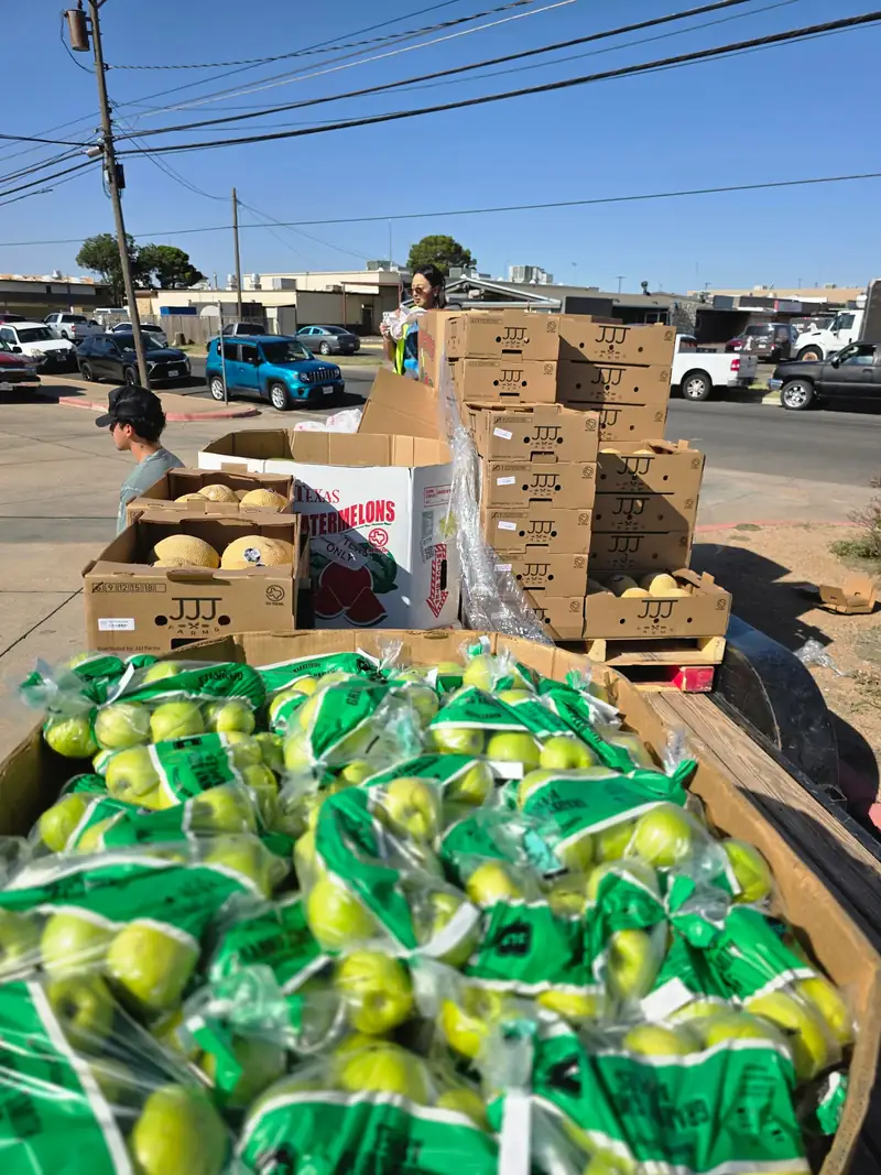 Boxes of watermelons, cantaloupes, and fresh fruit staged for distribution